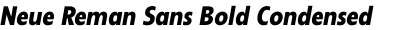 Neue Reman Sans Bold Condensed Italic